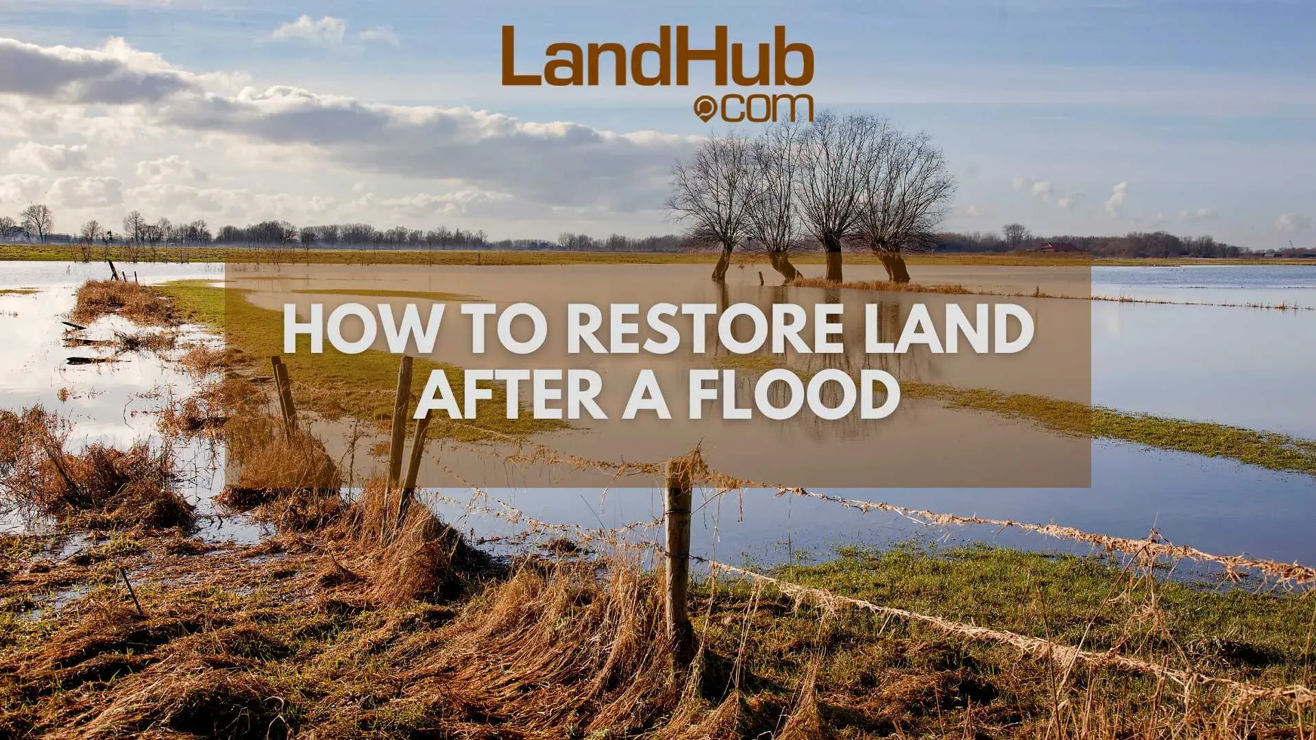 How to Restore Land After a Flood LandHub